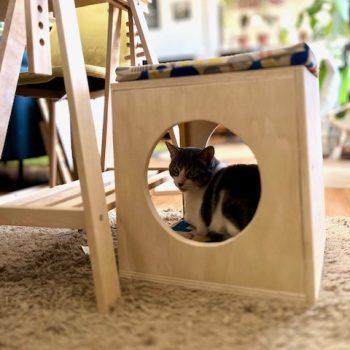 La maison en bois pour chat pour un confort absolu